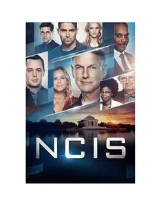 NCIS: The Seventeenth Season (DVD)