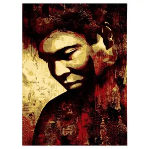 Shepard Fairey Ali Canvas Print 2010 Obey Giant Signed Print