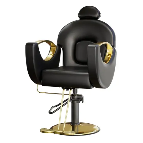 Garvee Reclinable Salon Chair with Durable Hydraulic Pump, 360° Swivel, Adjustable Height, 350 lbs Capacity, Ideal for Beauty Spa, Barber, and Hairdressing Use, Black Color