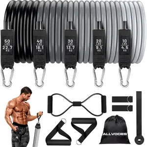 Resistance Band Set, Resistance Band with Accessories, Elastic Band for Chest Training, Fitness Equipment for Home Gym, Workout Bands, Muscle Training Equipment, Muscle Exercise Equipment