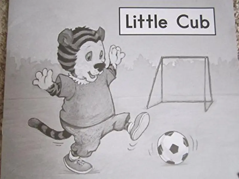 USED Book - Little Cub (Fountas and Pinnell Leveled Literacy Intervention Books, Orange System, Level A, Book 20) by Beth Demek (Unknown)