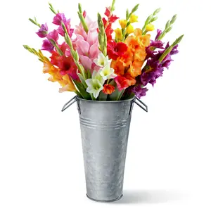 Plexon 9" Tall Metal Vase for Flowers, Metal Flower Container with Handles, Farmhouse French Tin Vases for Flowers Ideal for Sparkler Bucket Wedding Home Decor, Galvanized Steel, Set of 6
