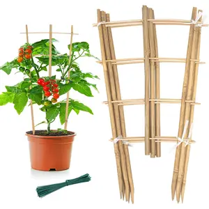 Garden  Trellis 16 Inch Fan Shaped Small  Trellis,  Trellis for Climbing  Orchid Monstera Indoor Potted -6 Pack