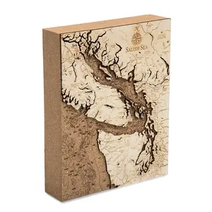 Salish Sea Topographic Cork Decoration