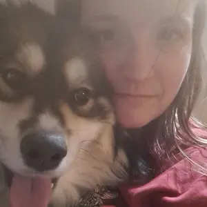 background preload poster image 