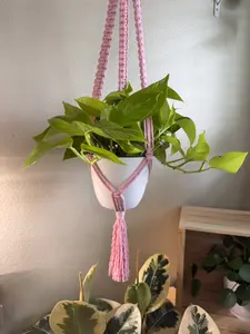 Boho Bottom Macrame Plant Hanger