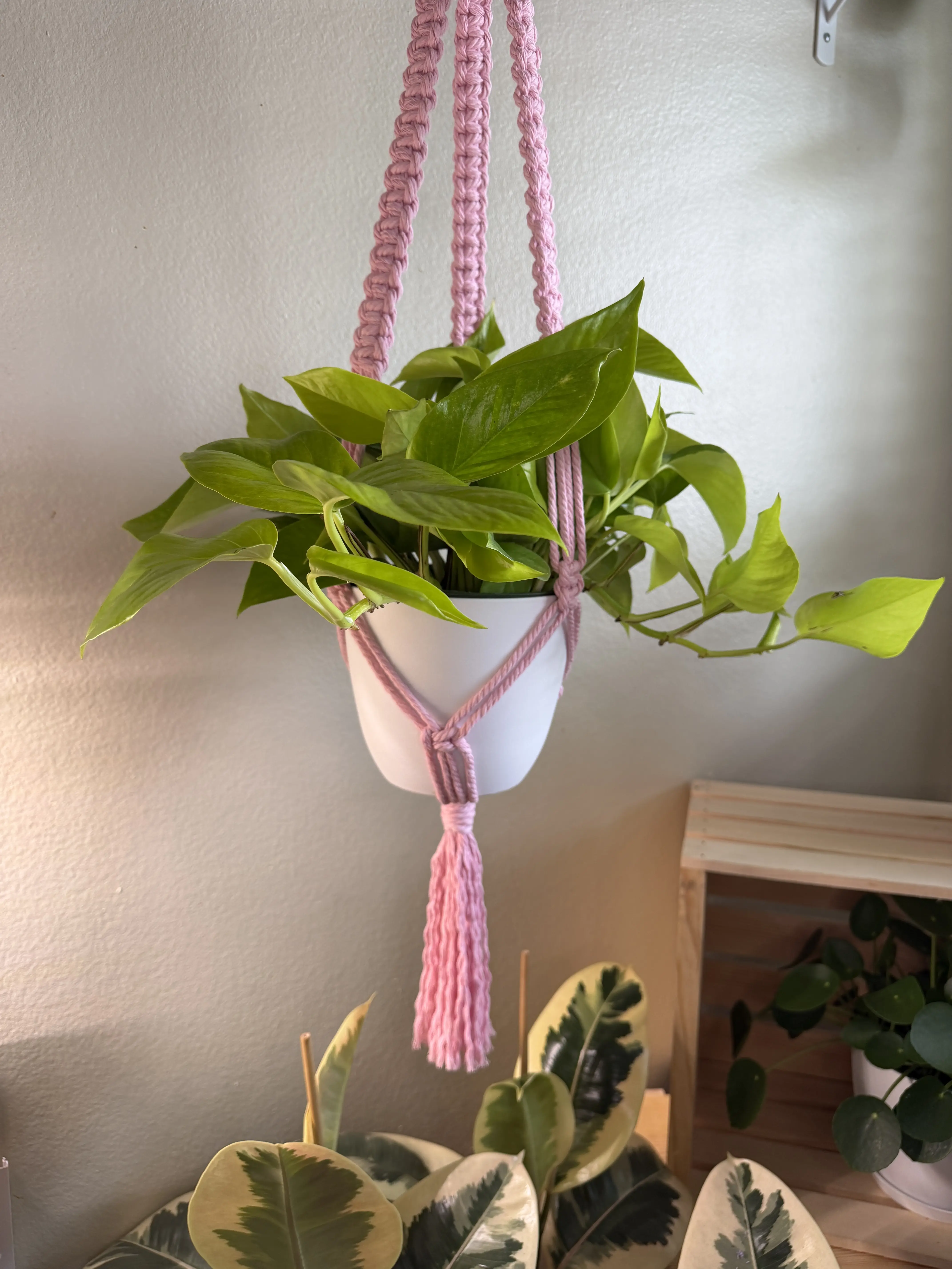Boho Bottom Macrame Plant Hanger