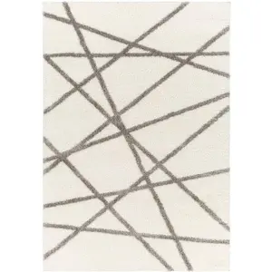 Surya Cloudy Shag CDG-2316 Off-White Modern Machine Woven Rug