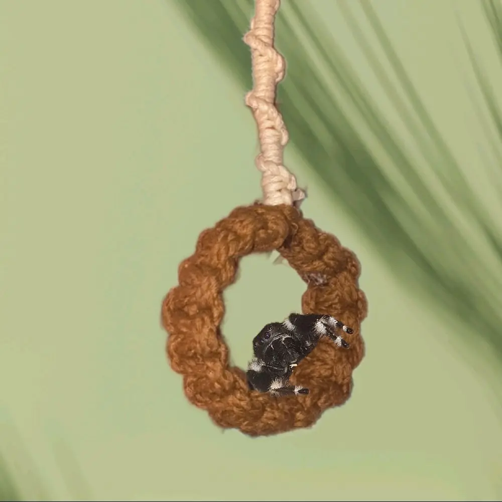 Macrame Spider Circle Swing