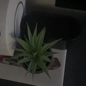 review image 9