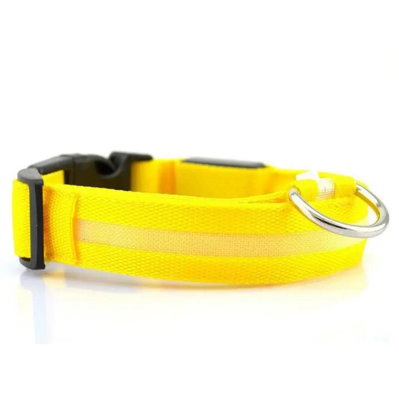 Pet Led Collar
