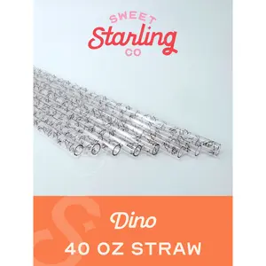 Dino 40 oz Reusable Straws- Wide Fit