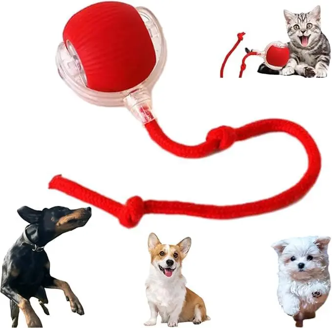 Interactive Cat Toy Ball, Automatic Rolling Pet Ball for Indoor Cats & Dogs, Smart Motion Activated Moving Toy, 360° Rolling Chase Ball for Kittens and Pets