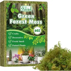 6OZ Green Moss for Indoor , 8QT Orchid Moss for Repotting, Forest Moss for Potted , Real Moss for Succulent Carnivorous Houseplant Terrariums Garden Reptiles