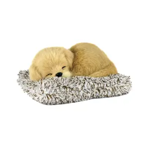 Mini Golden Retriever Perfect Petzzz