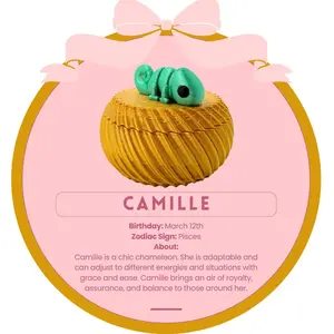 Camille the Chameleon