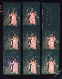 STEVIE NICKS HANDPRINTED DARKROOM PROOF SHEET FROM ORIGINAL NEGATIVES!