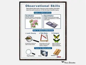 Observational Skills Poster, Biology, Science Inquiry Method, Classroom Poster, Classroom Decor, Middle School, High School Science- Poster No Frame