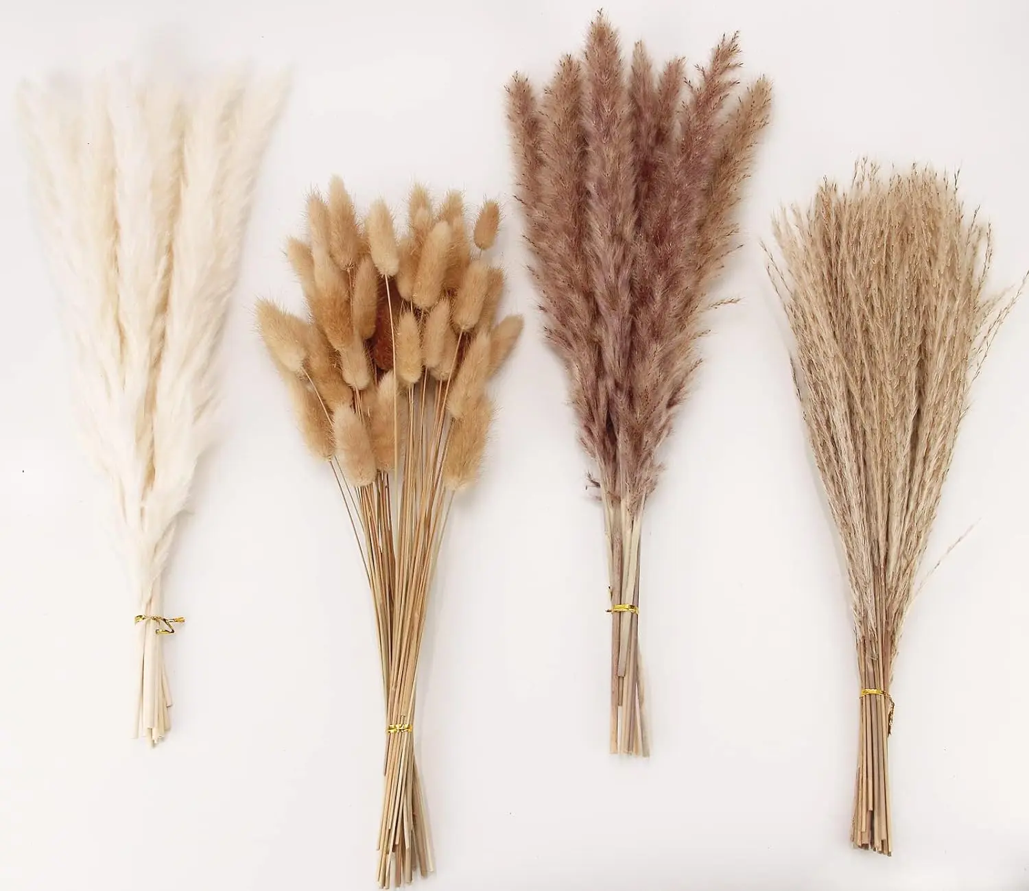 100 Pcs Pampas Grass Contains Bunny Tails Dried Flowers