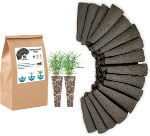 Grow Sponges, Starter Pods Compatible with Aero Garden,Refill Pods for Hydroponic Growing System (50 Pack) EVERECOO