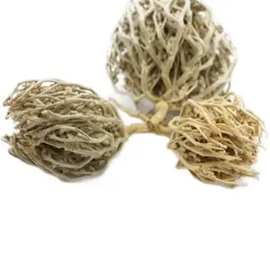 Rose of Jericho - Natural Dried Desert Flower (Fleure de Jericho) - Home Care Supply
