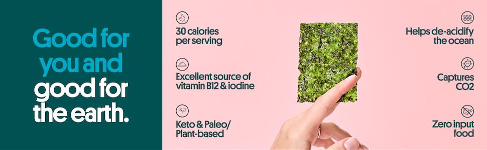 Gimme Seaweed Organic Premium Roasted Seaweed Snacks, Sea Salt, 6 Count, Keto, Vegan, Gluten-Free, Great Source of Omega3s and Iodine, Healthy On-The-Go Snack for Kids and Adults