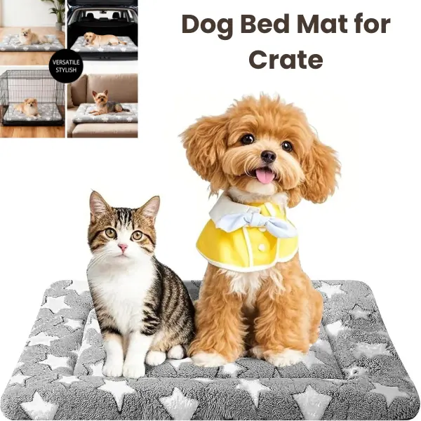Dog Bed Mat for Crate, Soft Orthopedic Crate Pad for Dogs & Cats, Washable Durable Anti-Slip Pet Bed for Small Medium Dogs, Kennel & Home Use