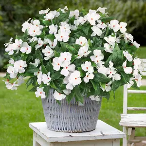 12 Pcs Artificial Flowers for Outdoors, Silk Impatiens Flowers Bouquet Decorations, artificial bouquets, Artificial Flower Arrangements, Fake Faux Plants, UV Resistant, Spring Summer Garden