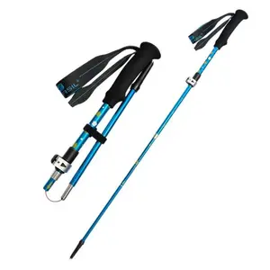 Children's hiking poles