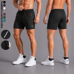 Men's 5 Inch Inseam Regular Fit Athletic Shorts with Secure Zipper Pockets, Lightweight Quick Dry Breathable Water Resistant 4-Way Stretch Anti-Chafe Gym Shorts for Workout Running Training Outdoor Hiking Casual Daily Wear