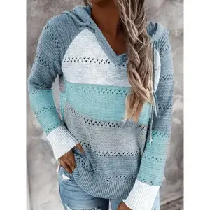 Color Block Pullover Drawstring Hooded Sweater, Casual Long Sleeve Pointelle Thin Knitted Sweater For Fall & Winter, Women's Clothing