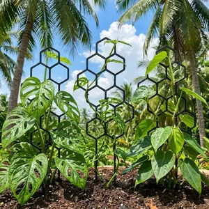 2-Piece 14.96x5.91-inch honeycomb plant climbing bracket, rust-proof design, suitable for potted vines and flowers, space-saving indoor and outdoor garden support frame