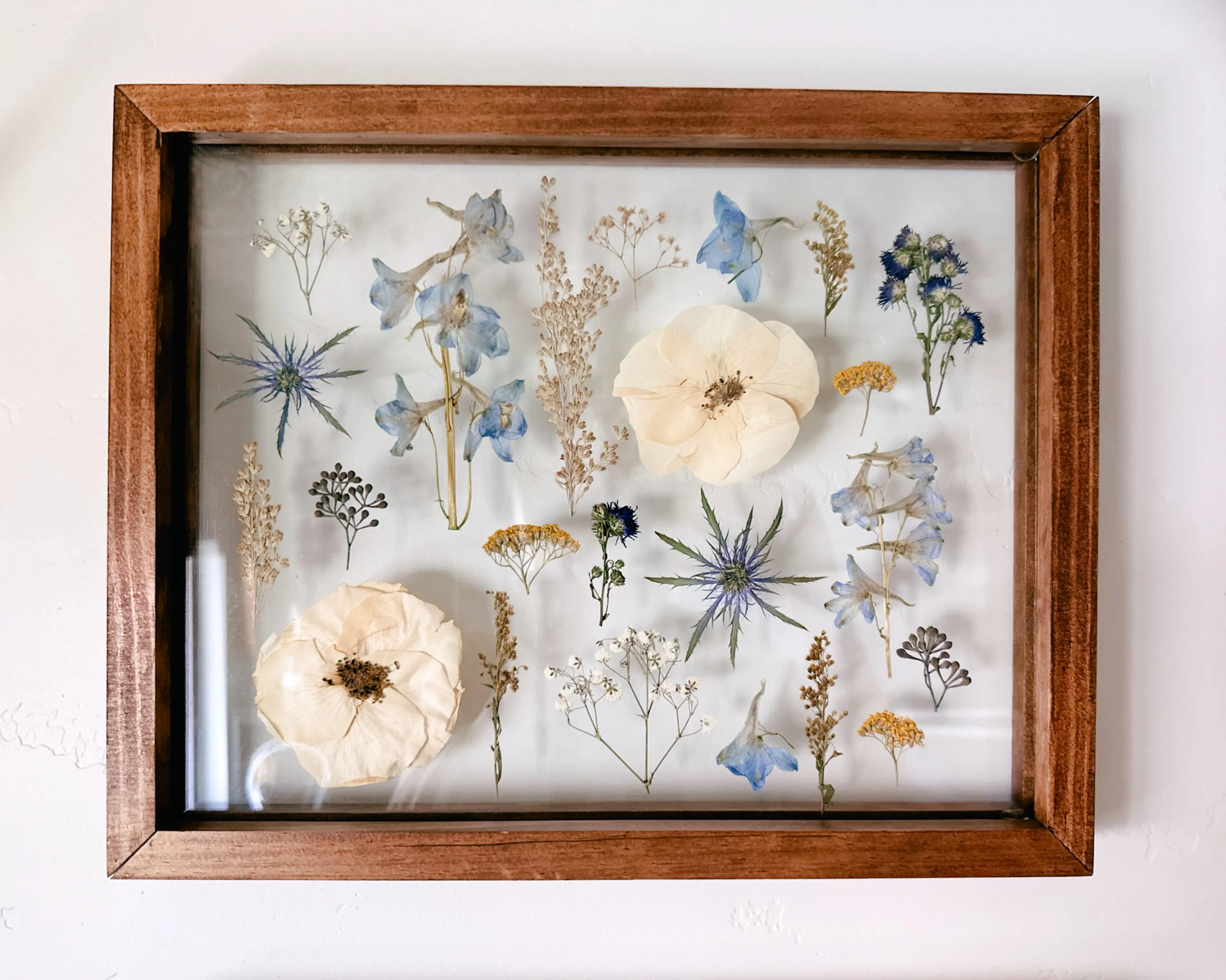 Starry Night Pressed Floral Frame