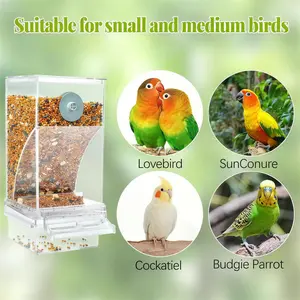 No Mess Bird Feeder! Stop Wasting Seed！A toy every kid will love!