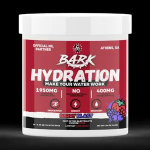 BARK Hydration Berry Blast Sugar Free Electrolyte Drink Mix 20 Stick Packs with 1950mg Electrolytes 400mg Vitamin C & Methylated B12 for Energy Antioxidants