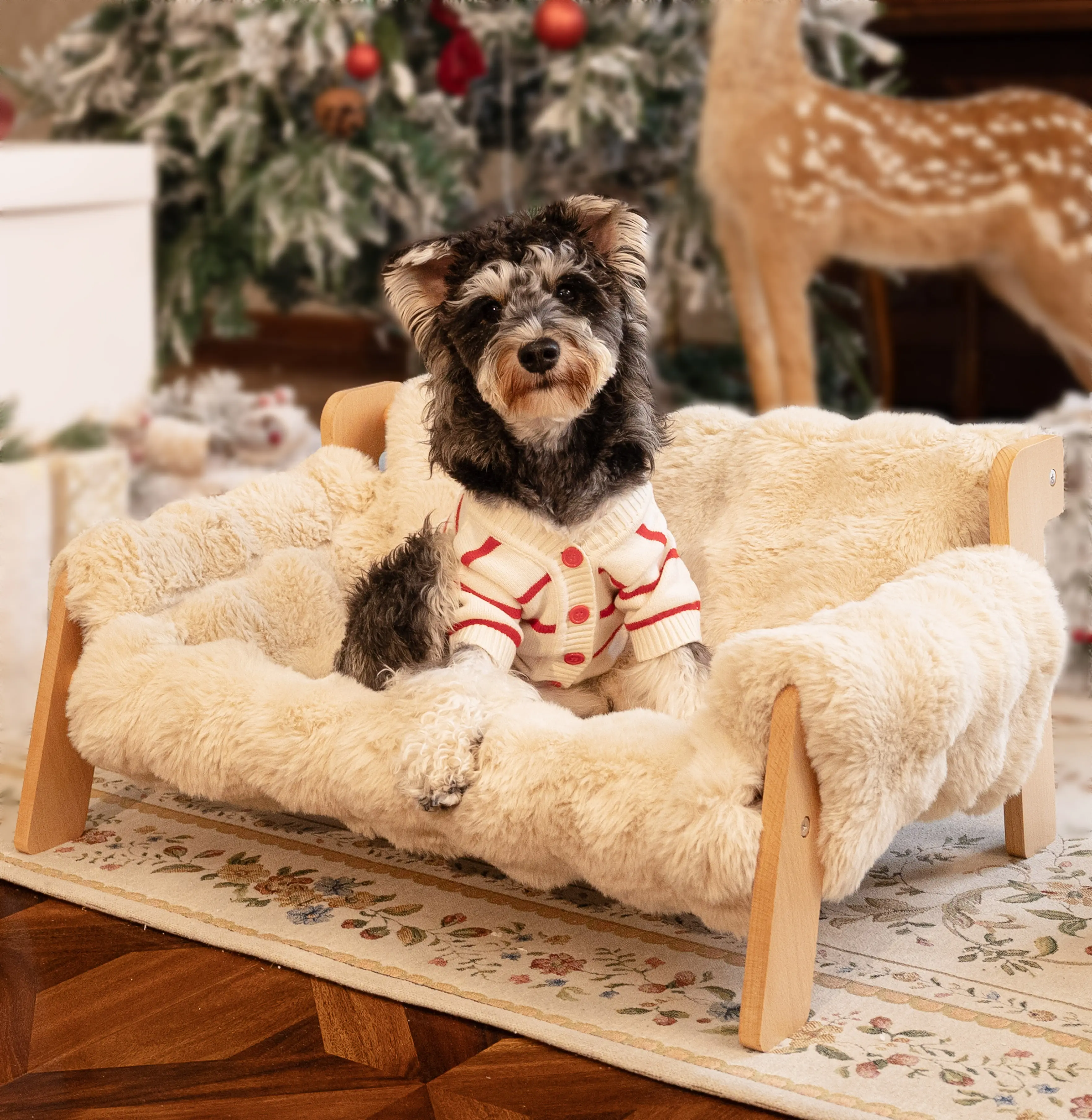 Raised Pet Sofa Bed for Indoor Cats & Small Dogs - Durable Solid Wood Frame, Fluffy Washable Cushion, Machine-Washable Modern Pet Furniture Lounge Chair