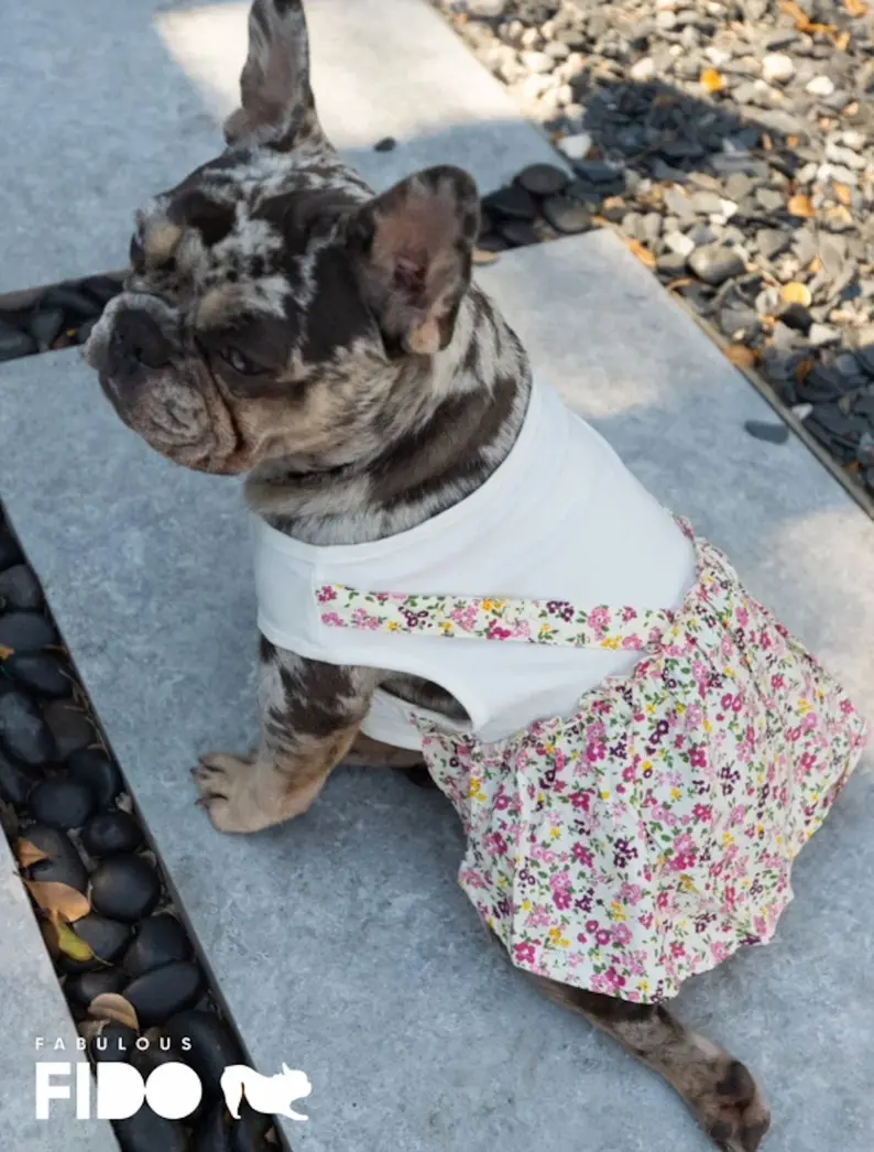 Floral Dress for Small and Medium Dog, Costume for French Bulldogs and other Pups, Birthday Gift for Pet Lovers