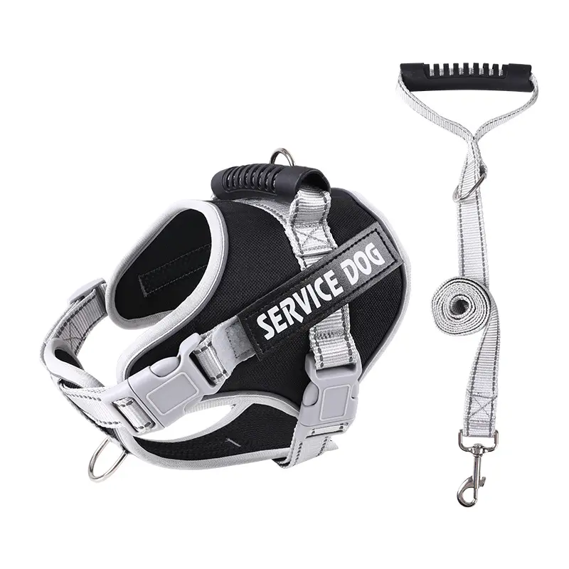 Black [Harness + Leash]