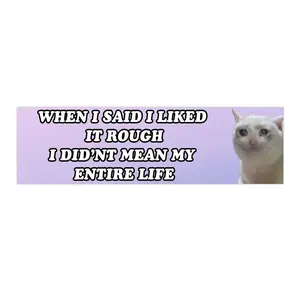 When I said I liked it rough I didn't mean my entire life | Bumper Sticker AND Magnet | Funny Meme Sticker | 8.7'' X 2.7'' | Waterproof Premium Quality