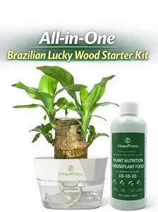 Grow Your Own Luck!  Complete Brazilian Lucky Wood Kit with Self-Watering Pot & Nutrient Solution Plant Nutrition Kit Premium Houseplant Care