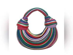 Rainbow Color Noodle Shaped Luxury Designer Purse