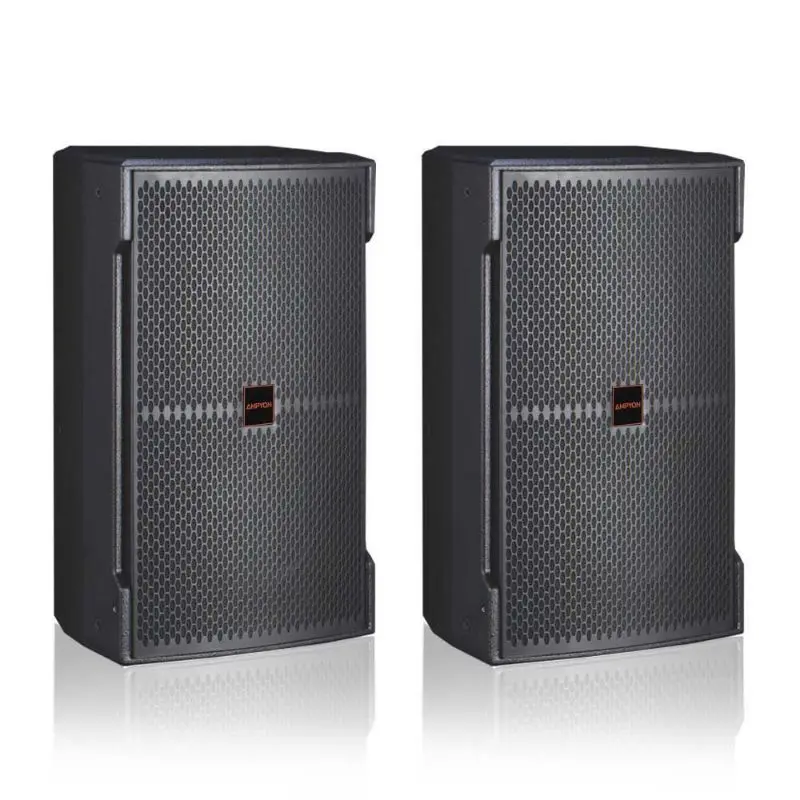 Ampyon KS-12 Loud Speaker, High-Watts Audio Device for Karaoke Use