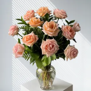 24 Coral Embrace Peach Roses – Two Dozen Premium Peach Roses