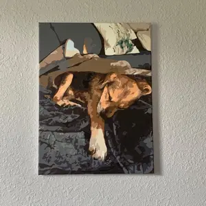 Pet Paint By Numbers