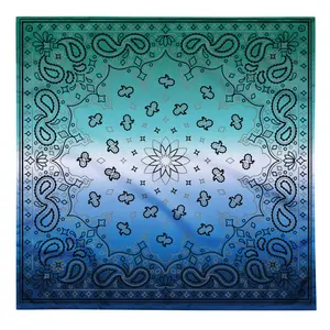 Gay MLM Vincian Pride Paisley Bandana Hanky Code