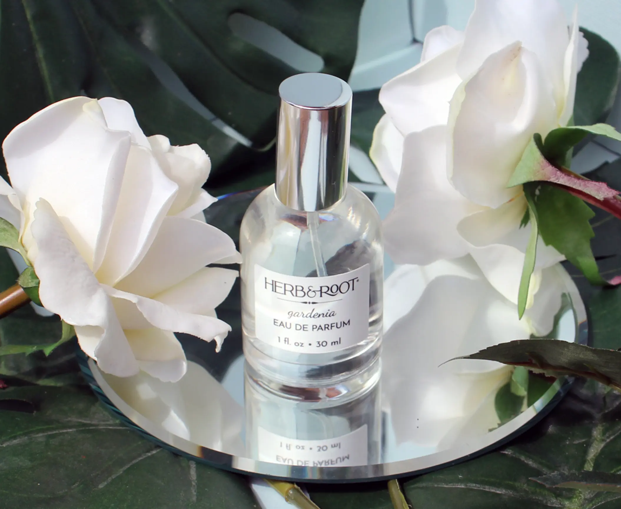 HERB & ROOT Gardenia Eau de Parfum for Women - Vegan Cruelty-Free Lush White Floral Scent - 1 fl oz / 30 ml - Luxurious Long-Lasting Fragrance