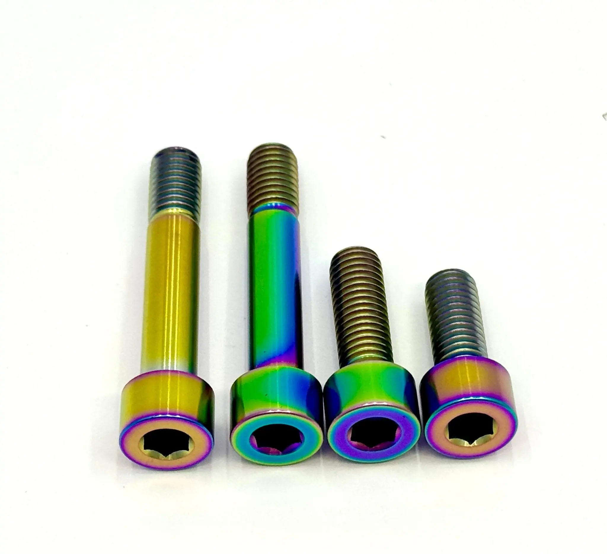 Titanium Motor Bolts - E-Ride Pro