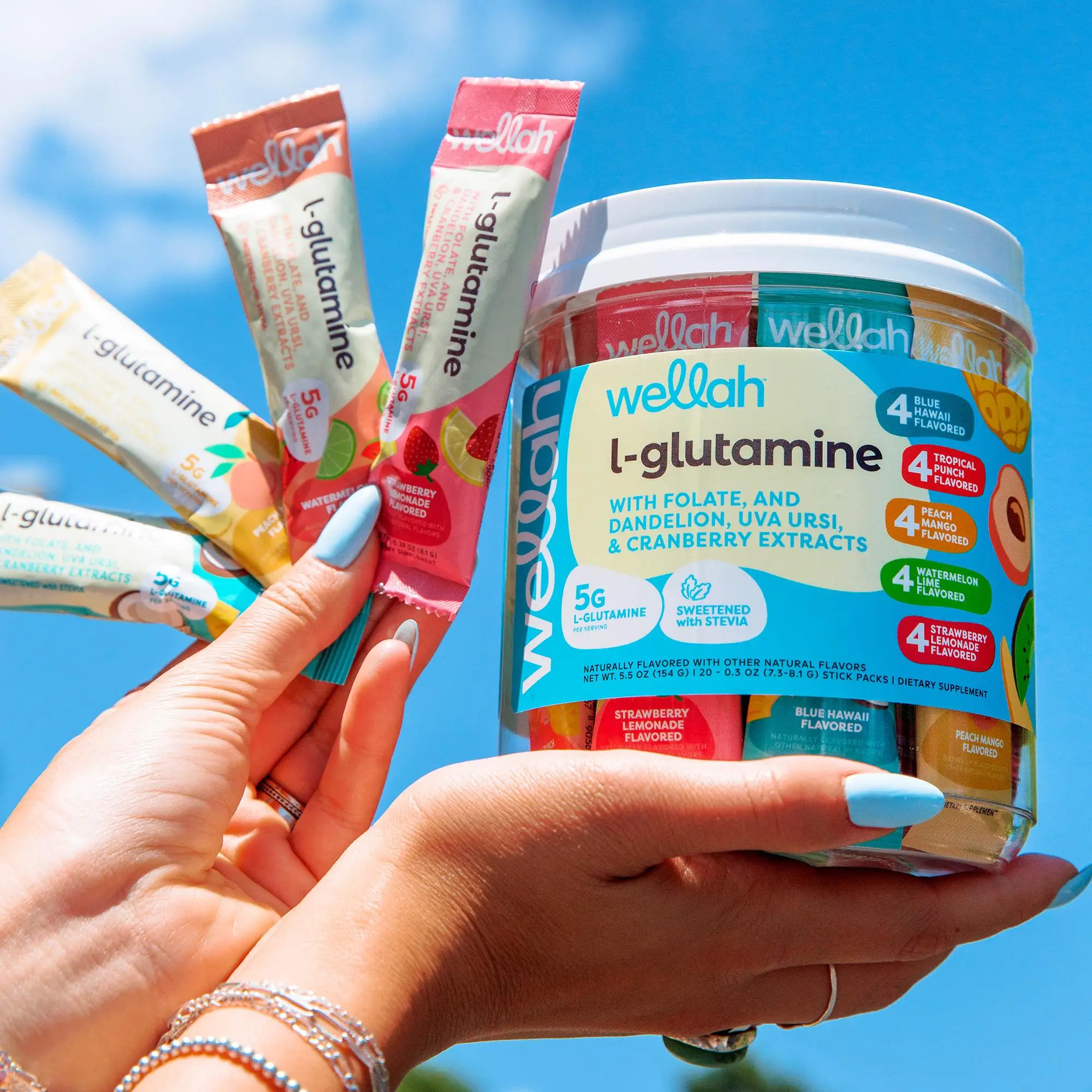 Wellah L-Glutamine Variety Pack | Gut Health Supplement | 5g L-Glutamine Per Serving | 20 Servings Healthcare Dietary