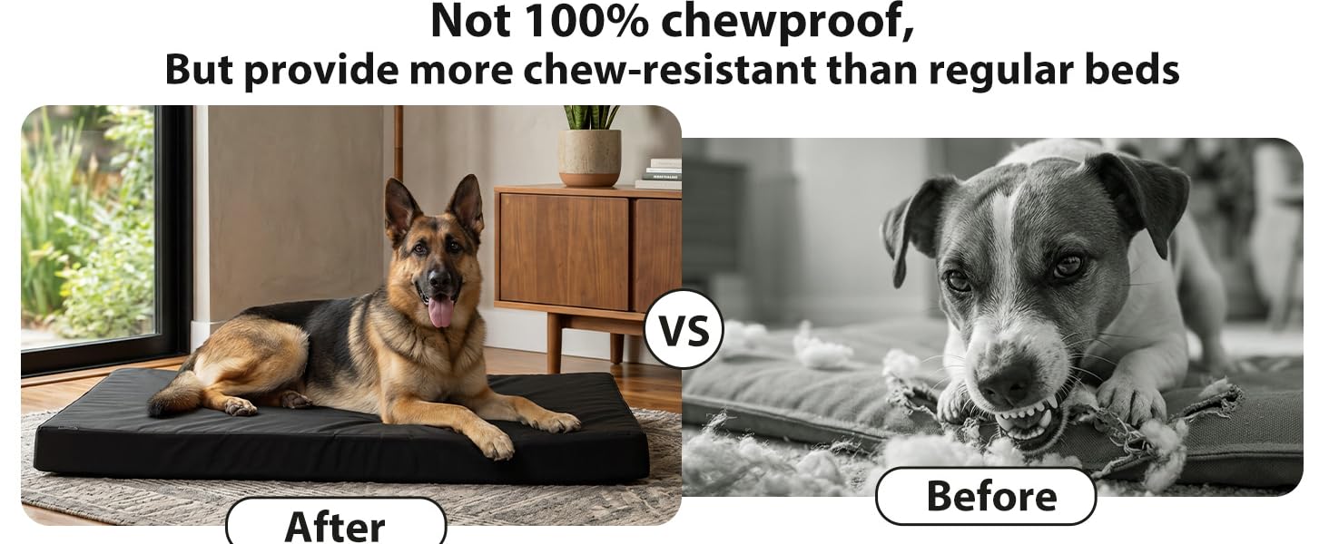 Orthopedic Dog Bed for Large Aggressive Chewers - Parachute Tough Striped Fabric, Chew-Resist. & Scratch-Resistant, 4" Joint Support Foam, Self-Cooling Modern Dog Mattress for Longevity Orthopedic Dog Bed for Large Aggressive Chewers - Parachute Tough Striped Fabric, Chew-Resist. & Scratch-Resistant, 4" Joint Support Foam, Self-Cooling Modern Dog Mattress for Longevity