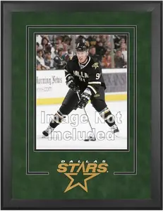 Dallas Stars Deluxe 16" x 20" Vertical Photograph Frame
